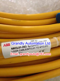 AI815 - ABB - New and Original Factory Packaging - Grandly Automation Ltd
