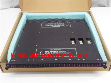 Sell TRICONEX 3604E OUTPUT MODULE DIGITAL 24VAC 16POINT *New in Stock*